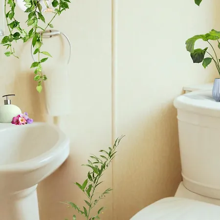 Holiday home Cliffs Of Moher Hideaway *