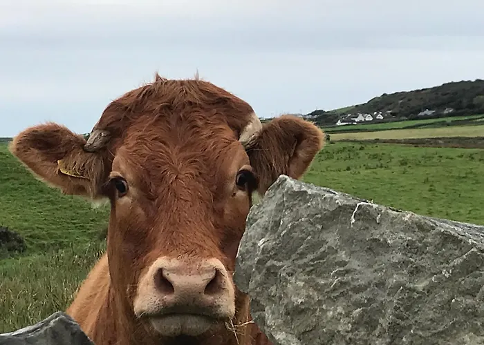 Cliffs Of Moher Hideaway Semesterbostad